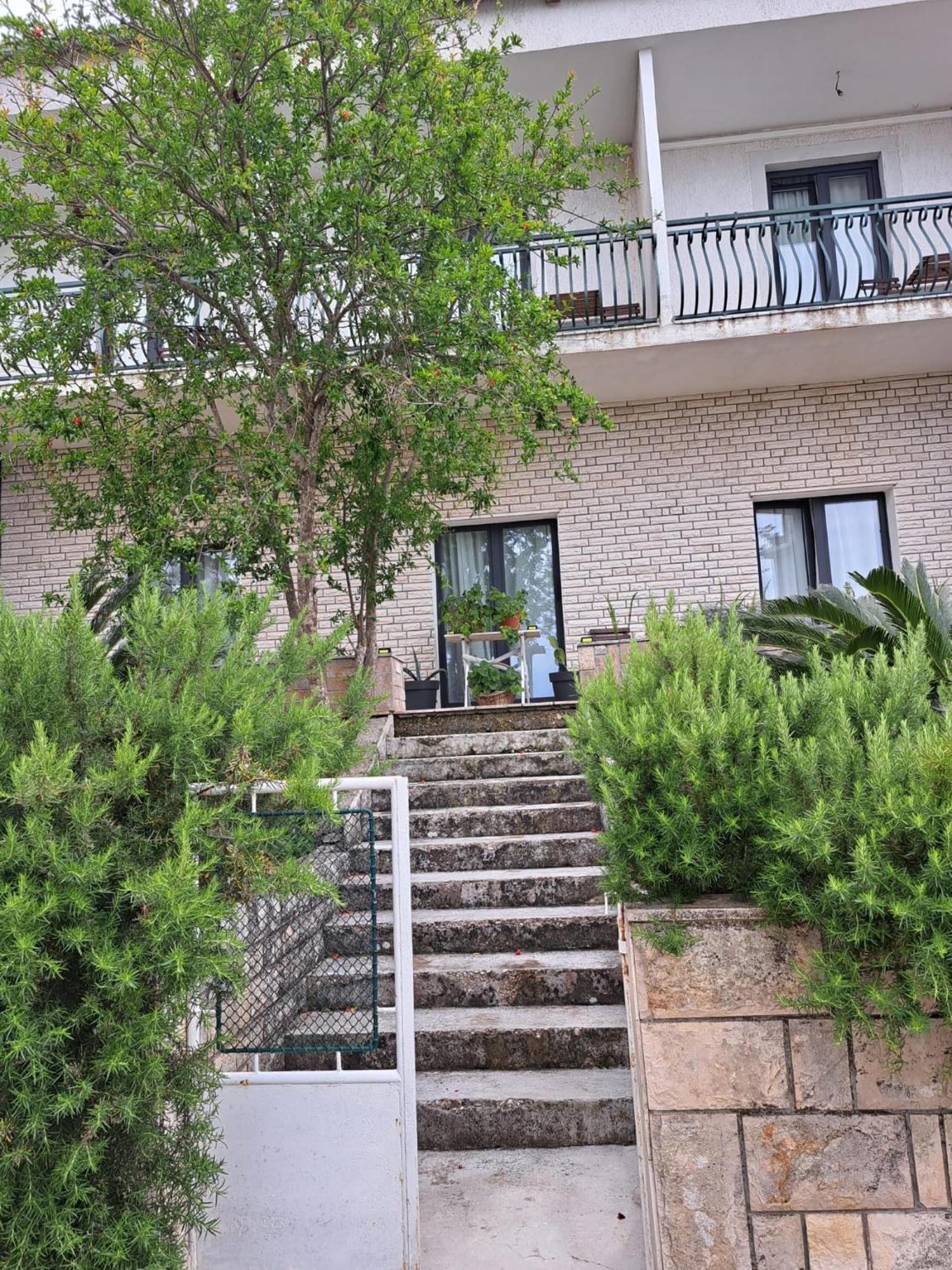 Guesthouse Tamara Lovište Exterior foto